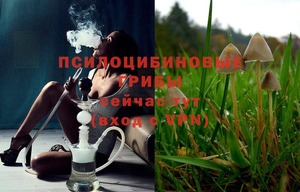 мдпв Богородск
