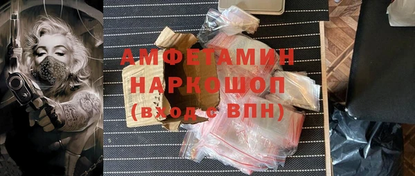 мдпв Богородск