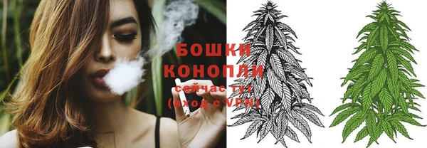 мдпв Богородск