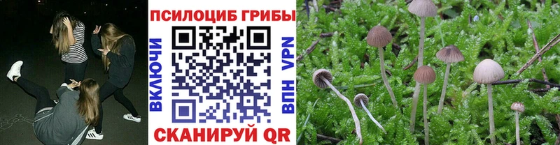 Купить закладки  Алупка  Псилоцибиновые грибы Magic Shrooms 